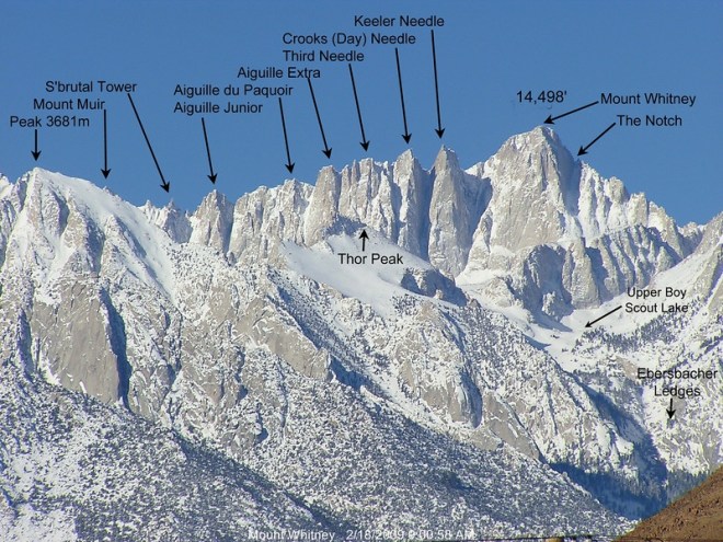needles-labeled