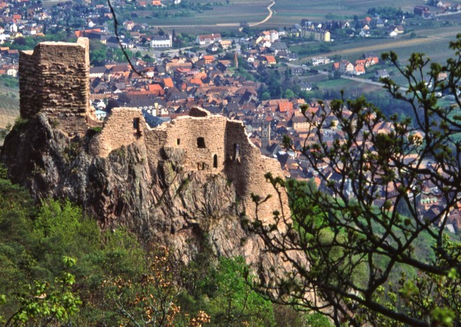 Fr91-Ribeauvillé030