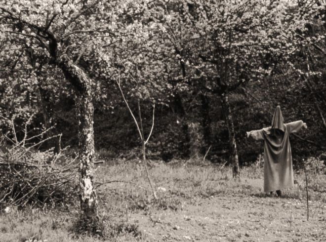 Fr91-Riquewihr002-scarecrow